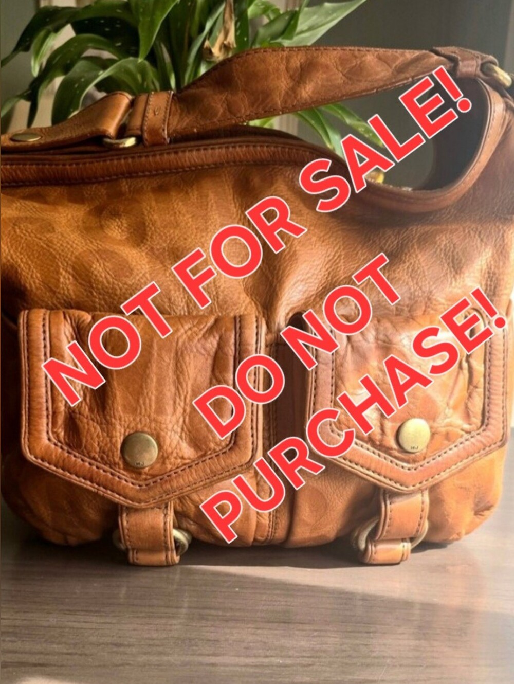 NOT FOR SALE! DO NOT PURCHASE!